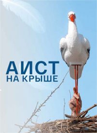 Аист на крыше